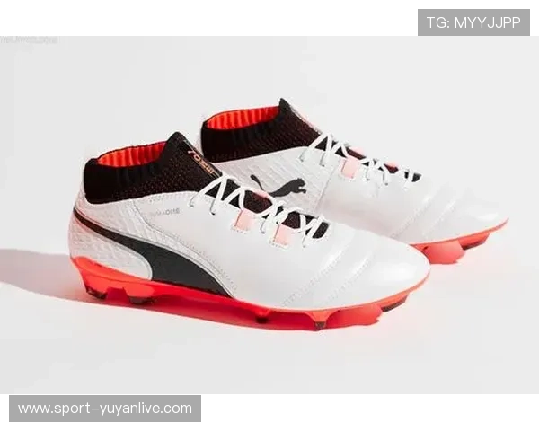 足球传奇彪马：从球场英雄到品牌巨擘的辉煌历程